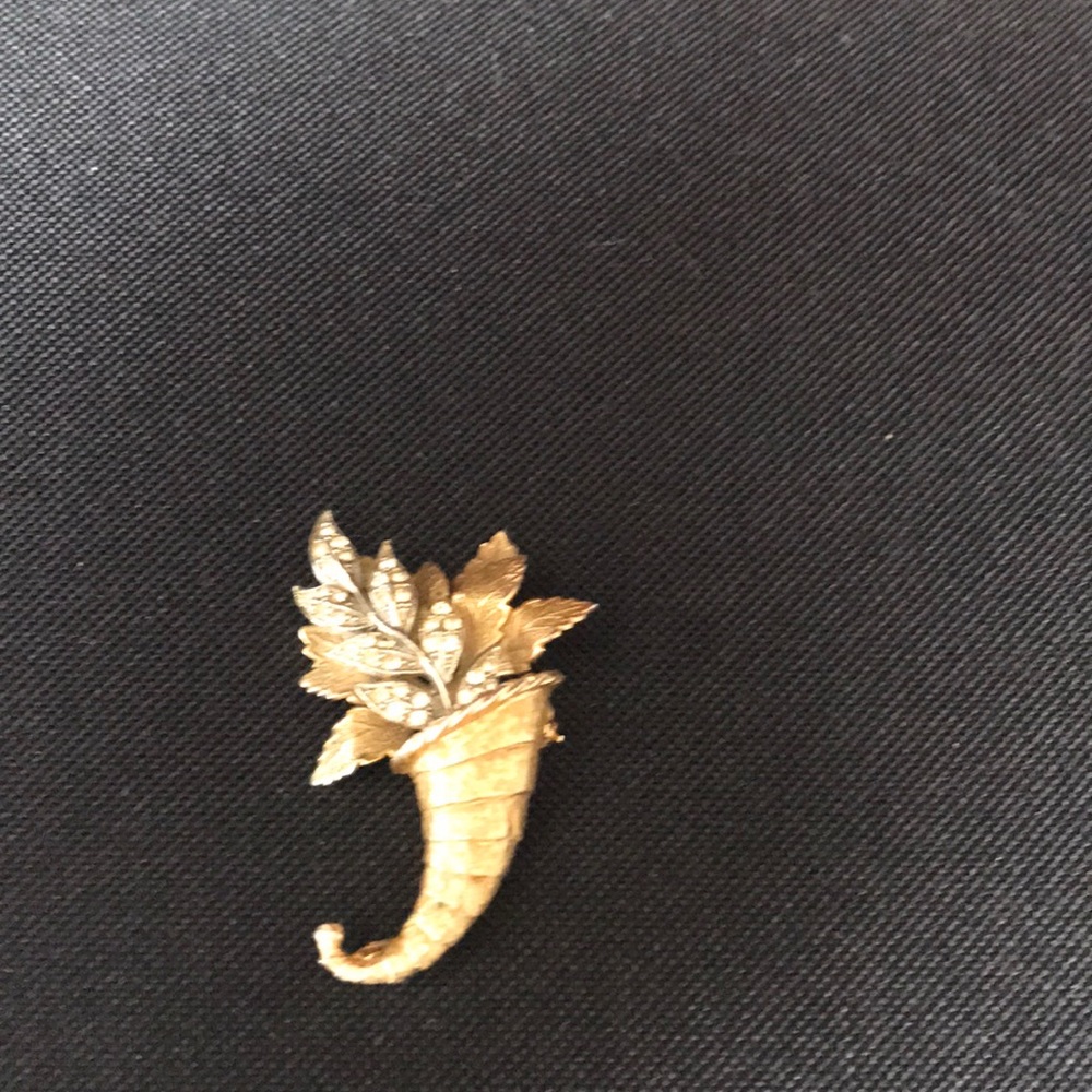 Costume jewelry pin